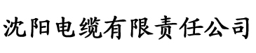 大香蕉福利视频播放电缆厂logo